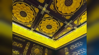 एल्यूमीनियम प्राचीन छत